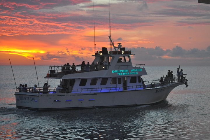 Sunset Dolphin Watch Tour - Photo 1 of 6